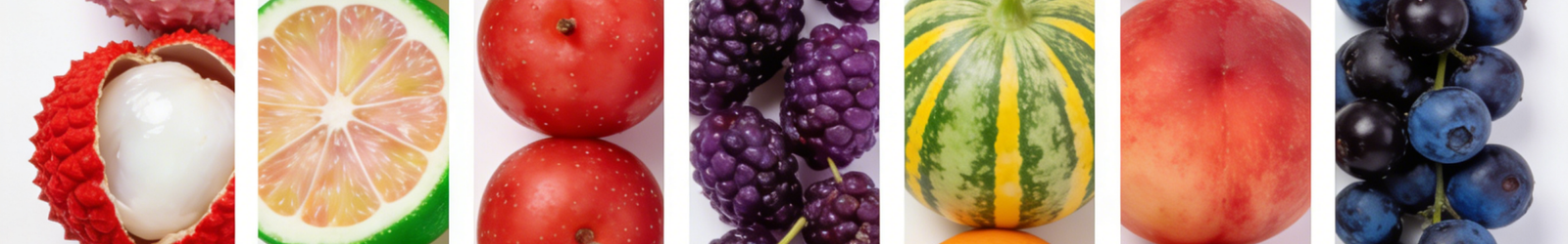 Fruit and Vegetable Processing Machinery