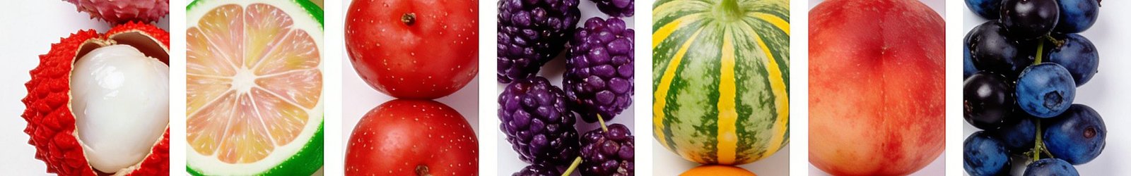 Fruit and Vegetable Processing Machinery