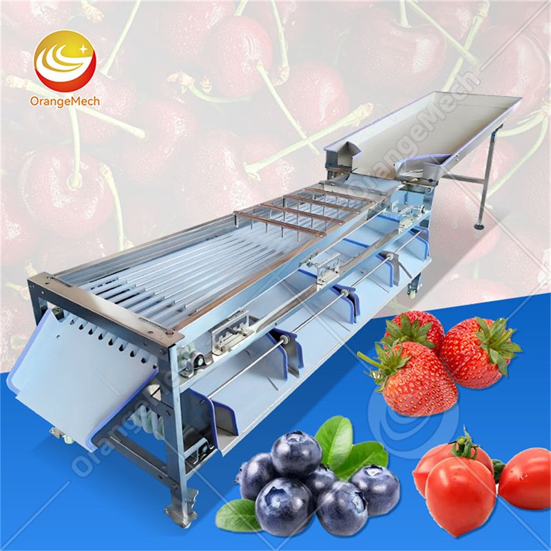 Track Type Sorting Machine For Orchards Process