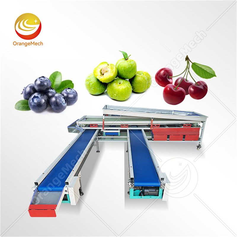 Track Type Sorting Machine For Orchards Process