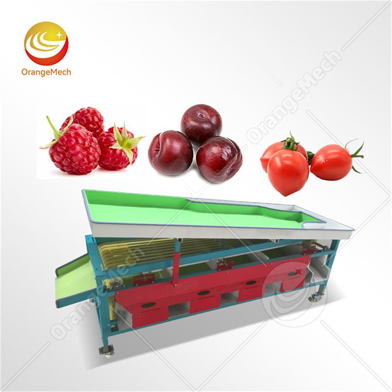 Track Type Sorting Machine For Orchards Process