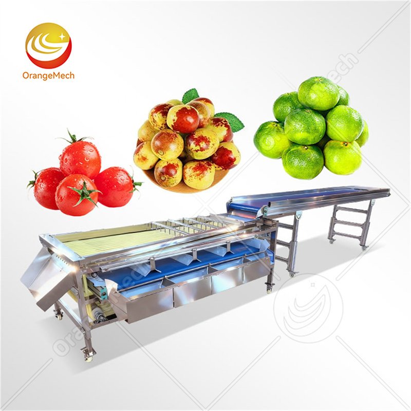 Track Type Sorting Machine For Orchards Process
