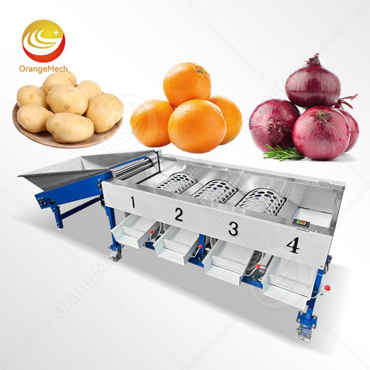 Drum Type Sorting Machine for Fruit & Veggie Grading
