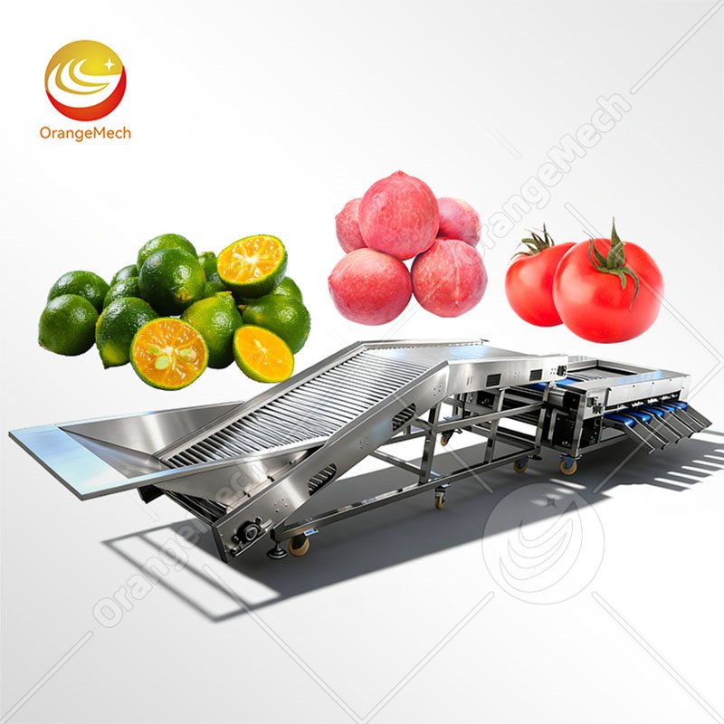 Roller Type Sorting Machine For Fruit & Vegetable