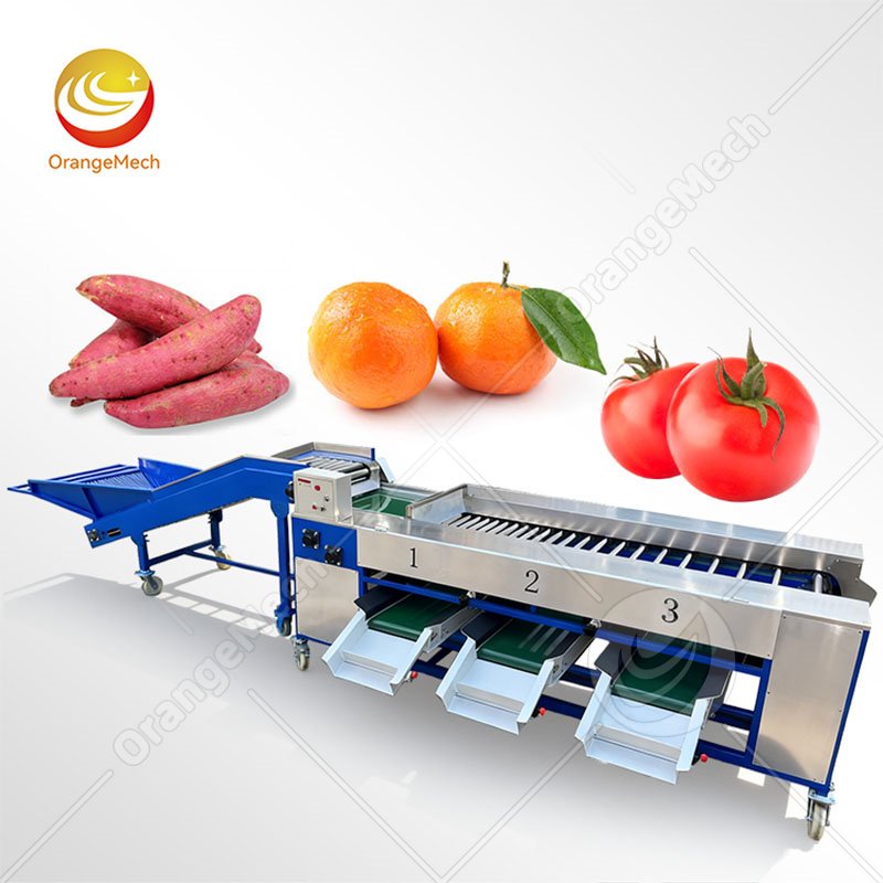 Roller Type Sorting Machine For Fruit & Vegetable