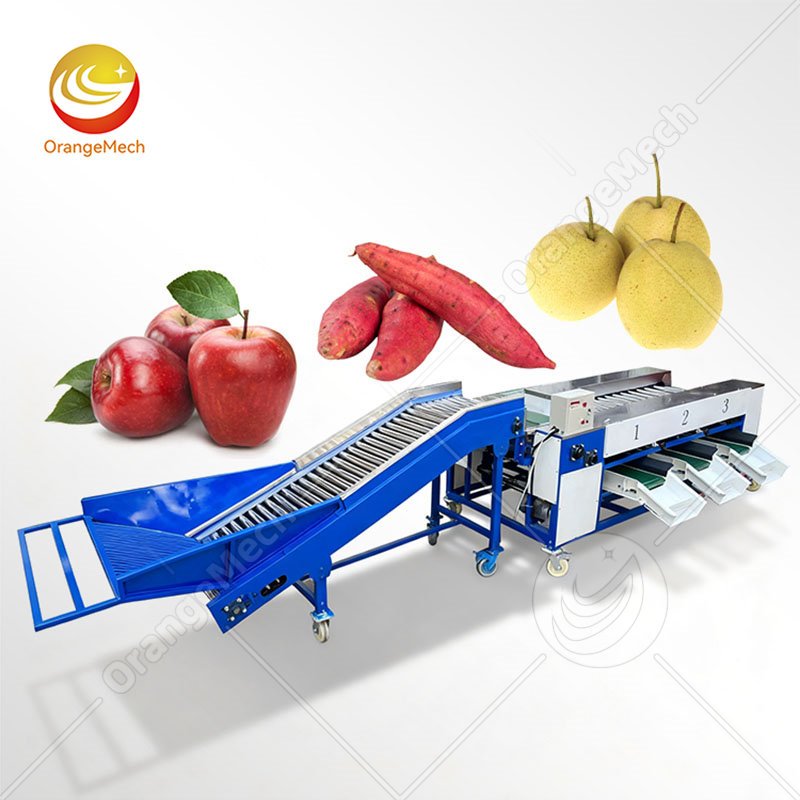 Roller Type Sorting Machine For Fruit & Vegetable