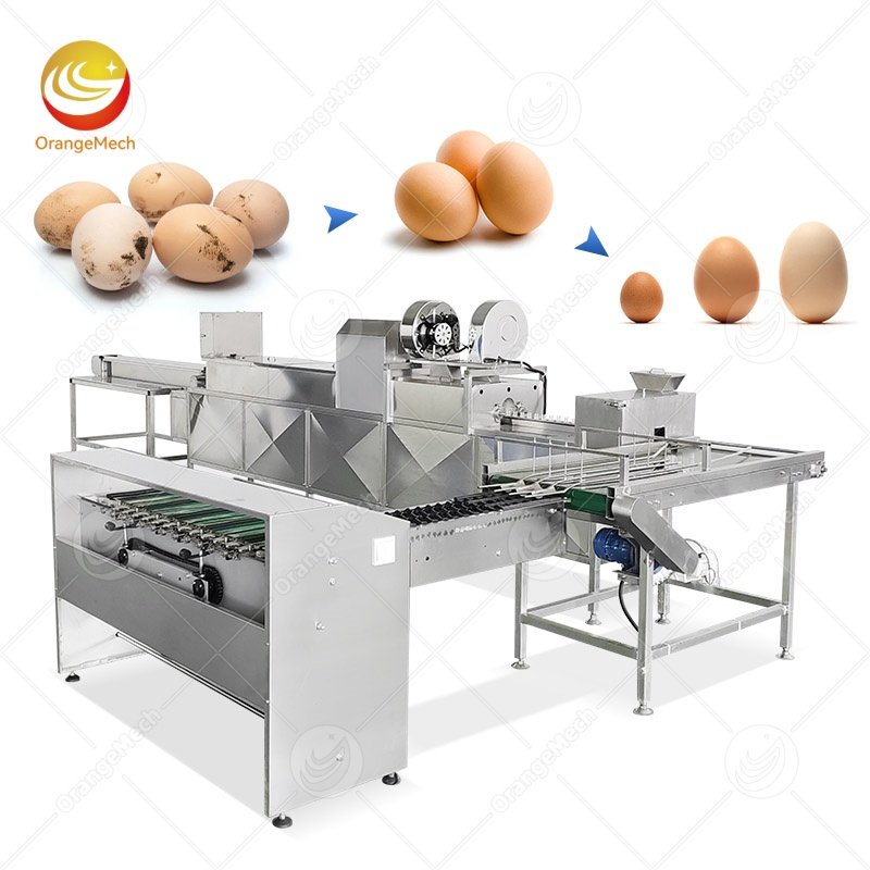 Egg Cleaning Machine for Poultry Farms and Hatcheries