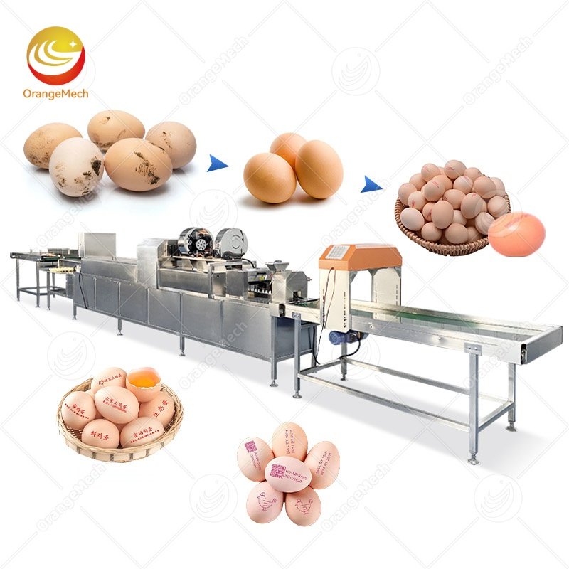 Egg Cleaning Machine for Poultry Farms and Hatcheries