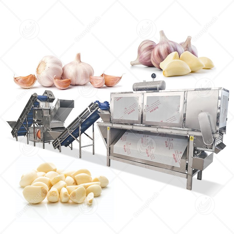 Automatic Garlic Peeling Line | High Efficiency & Low Loss