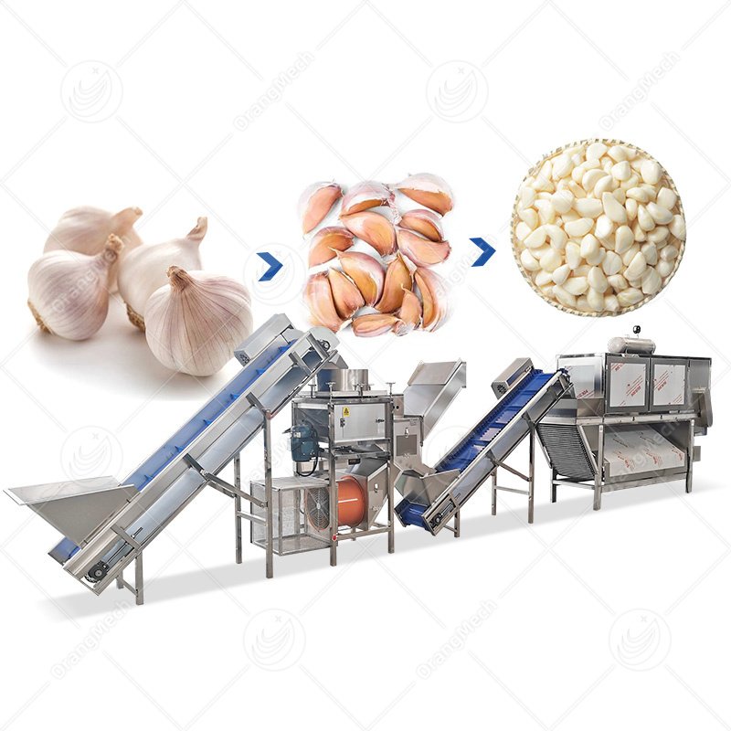 Automatic Garlic Peeling Line | High Efficiency & Low Loss