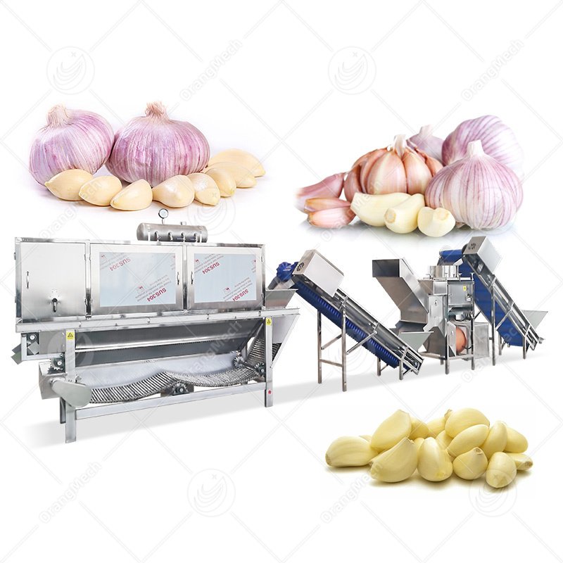 Automatic Garlic Peeling Line | High Efficiency & Low Loss